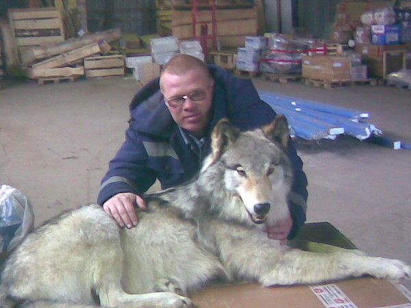 Алексей Ивлев