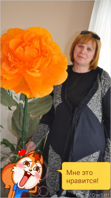 Ирина Елисеева