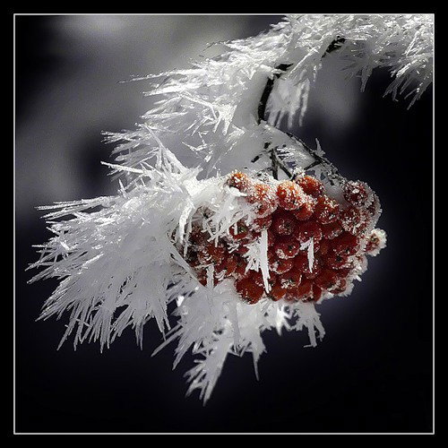 Мария Марова