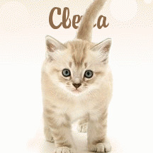 Светлана Савченка
