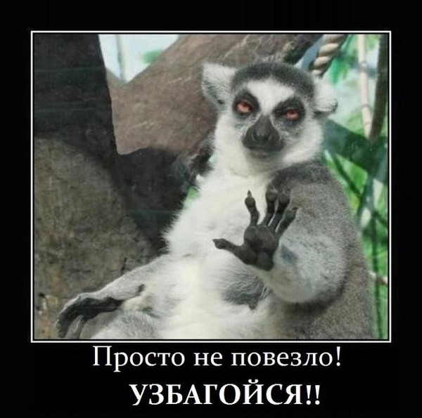 Зара Зара