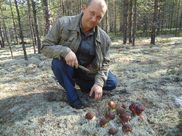Алексей Тарасенков