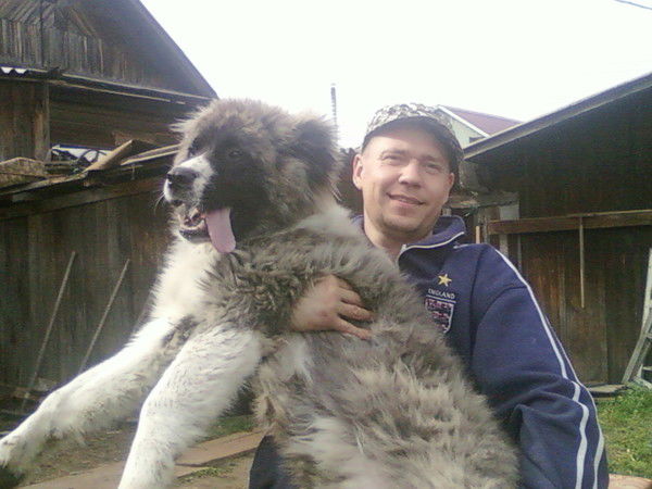 Геннадий Винидиктов