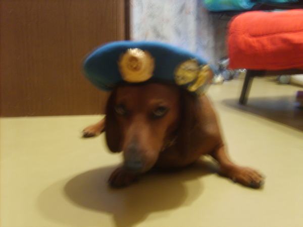Kornej Krongardt