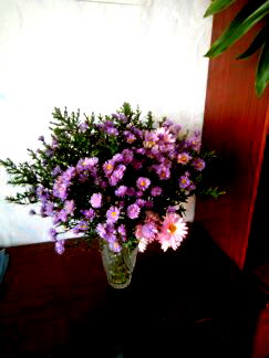 Флора И Фауна