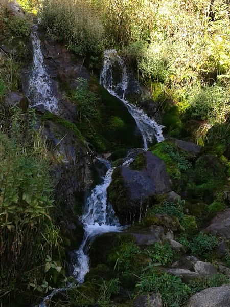 Оксана Жаткина