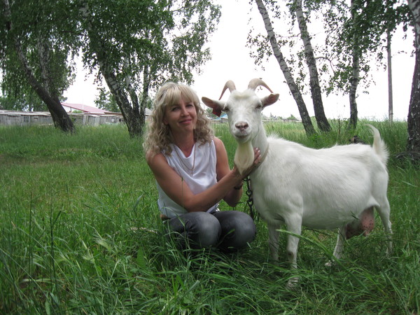 Елена Котова