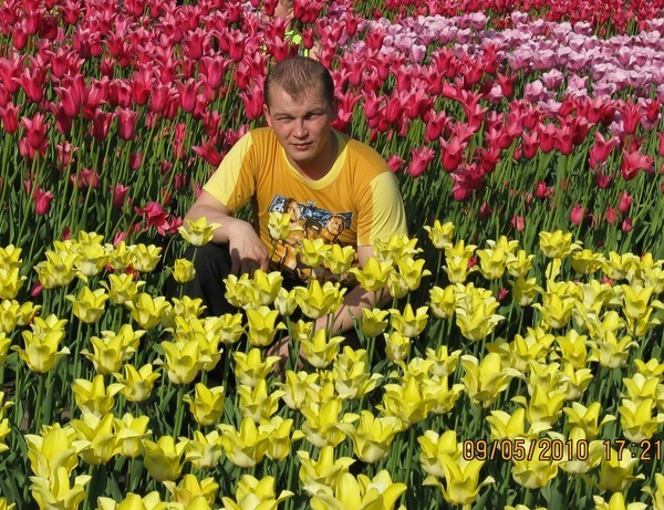 ( @марк@ )