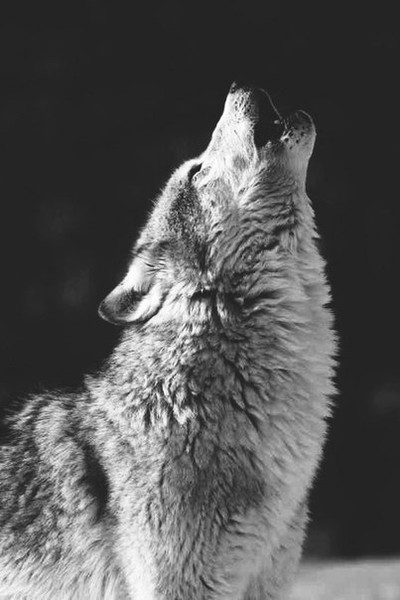Akm@r@lёnok *********