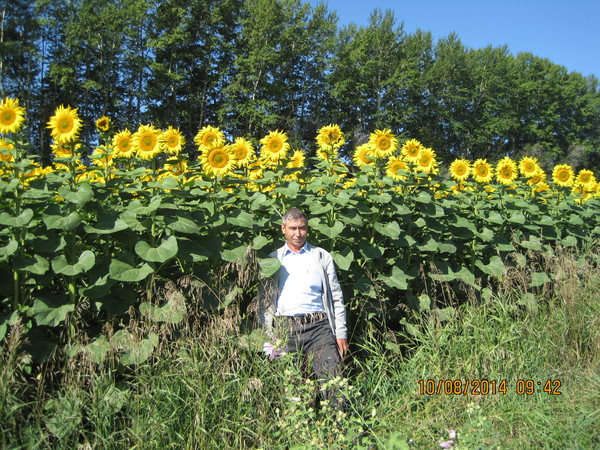 Валерий Шатько