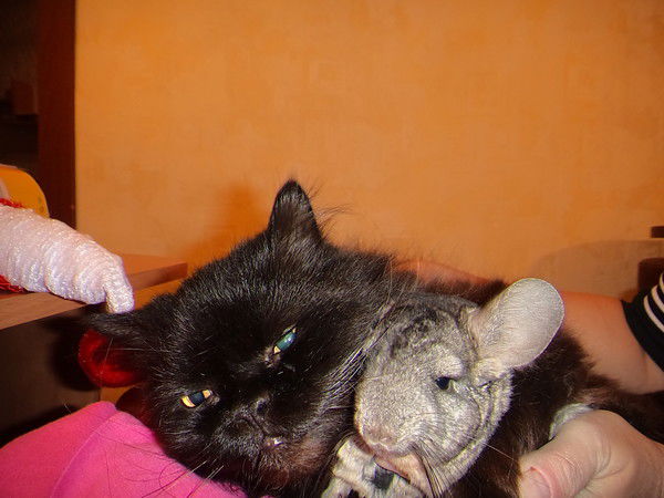 Татьяна Арутюнян