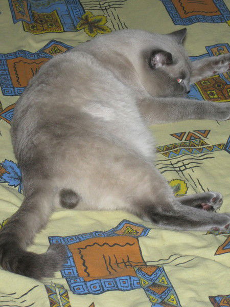 Людмила Хрипливец (Моть)