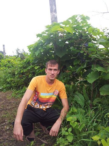 Павел Ванаков