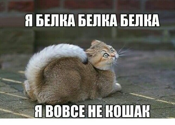 Валентина Кравцова