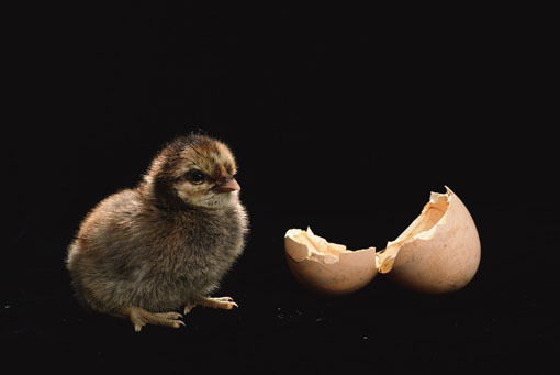 Перминова Лариса