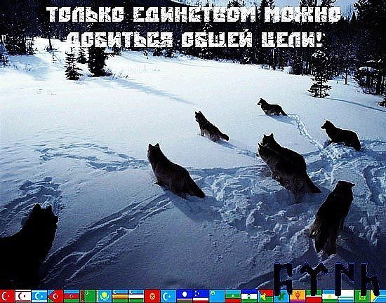 Сергей Бабогло