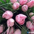 Айгуля Аубакирова