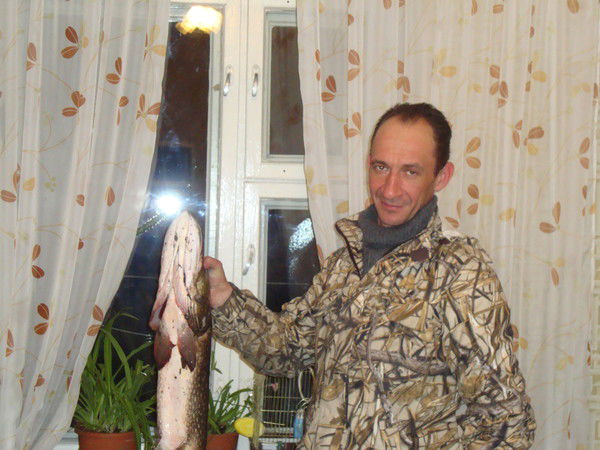 Игорь Стариков