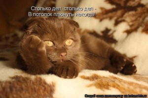 Ольга Мириевская