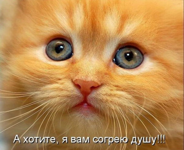 Лариса Маклакова