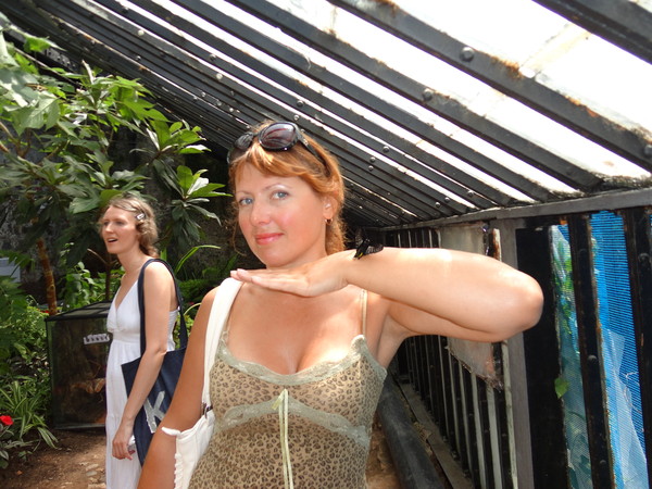 Елена Ленская