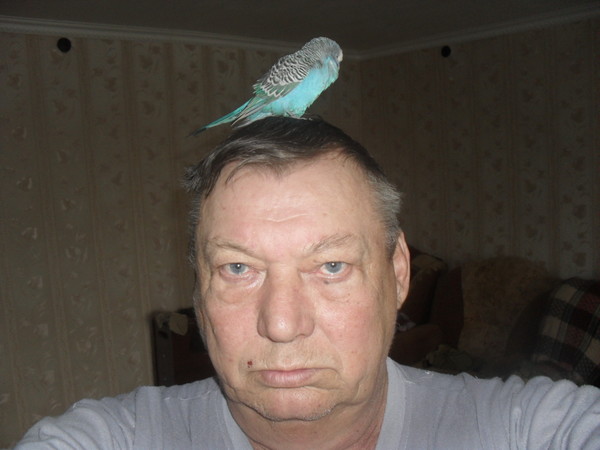 Анатолий Цветков
