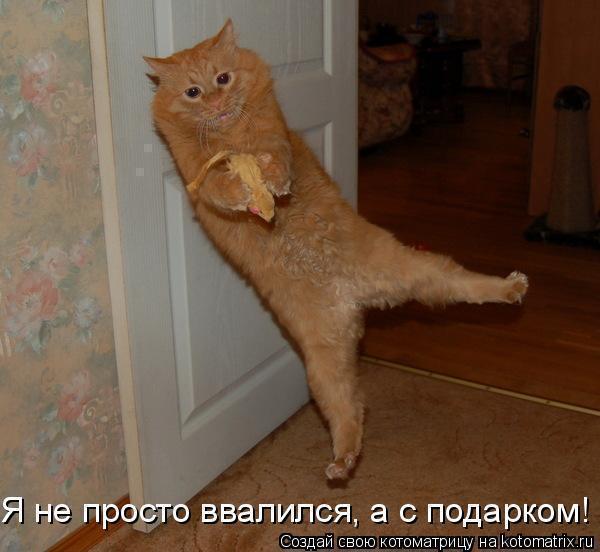 Владимир Степанов