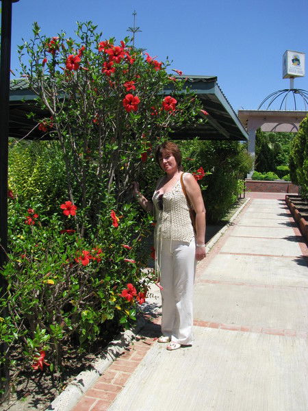 Сладкая Свобода