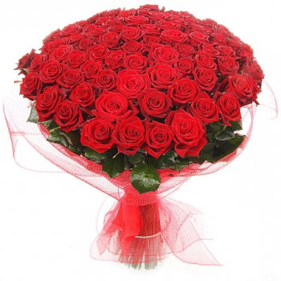 Дана Джарылкасынова