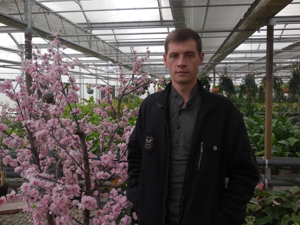 Дмитрий Алисеевич