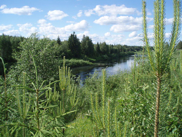 Александр Беляев