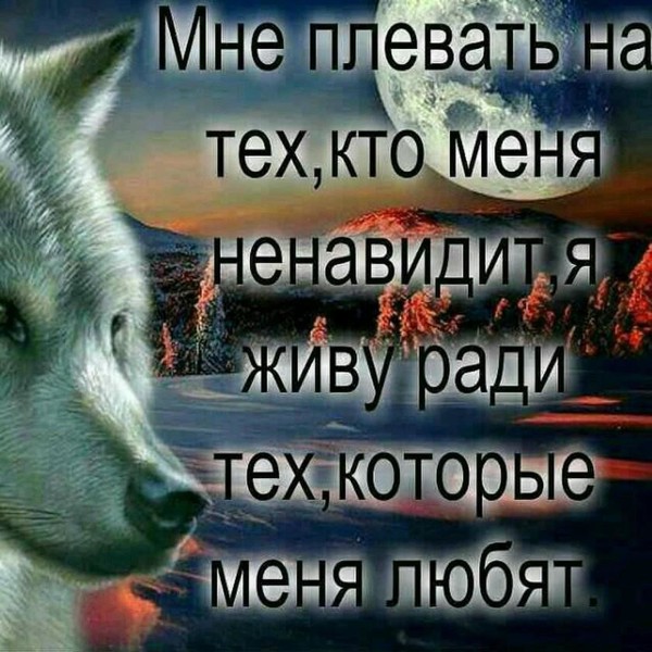 Светлана ******