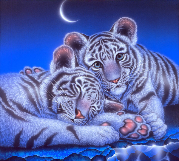 Ляля Кошка