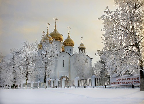 Вероника Любимая
