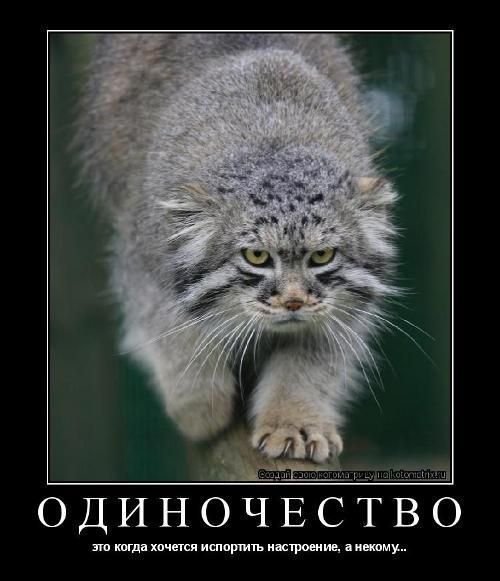 Валерий Плетень