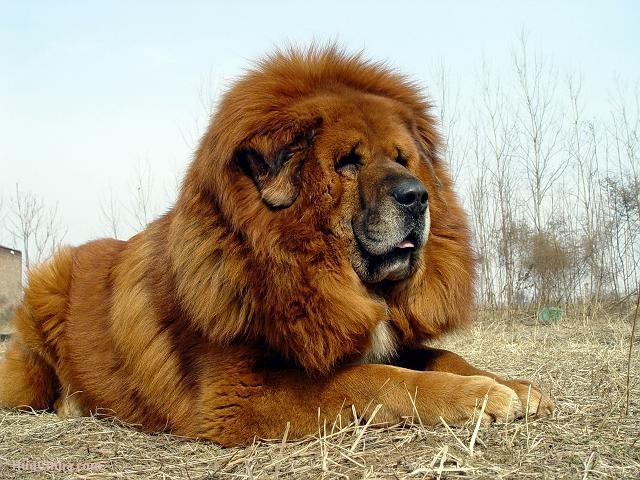 Сергей Березняк
