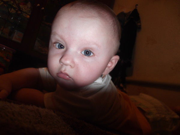 Наталья Харламова