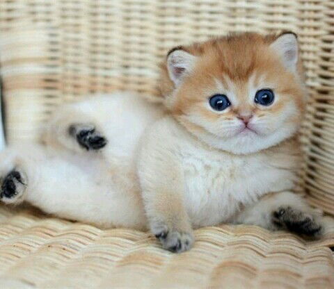 Татьянa Поплавских