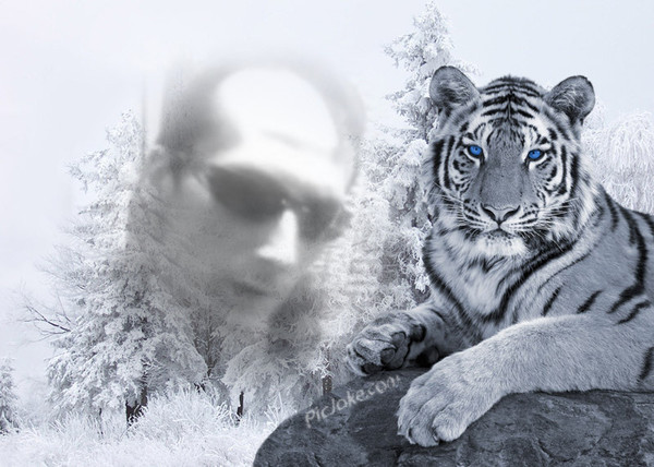 Андрей Варакута