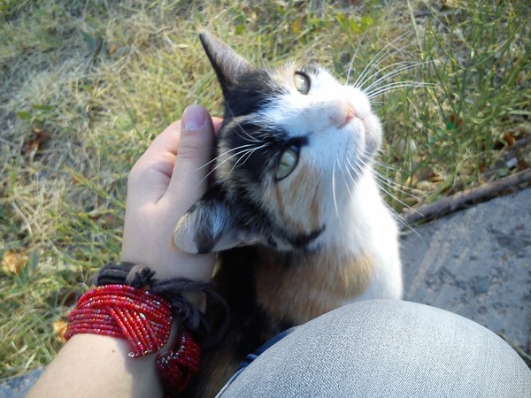 Людмила Шутова
