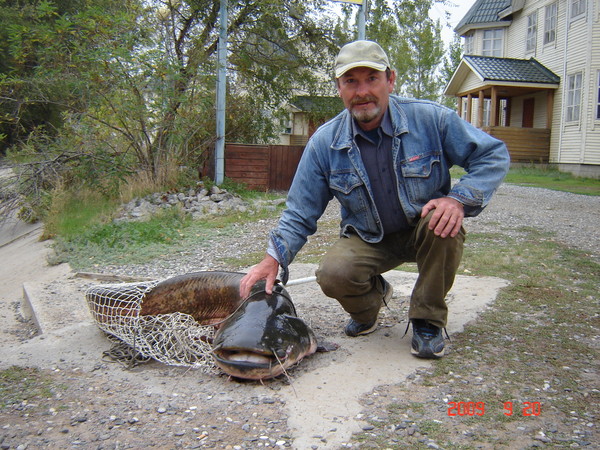 Кирпичников. Николай.