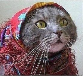 Мурка Контрабандистка