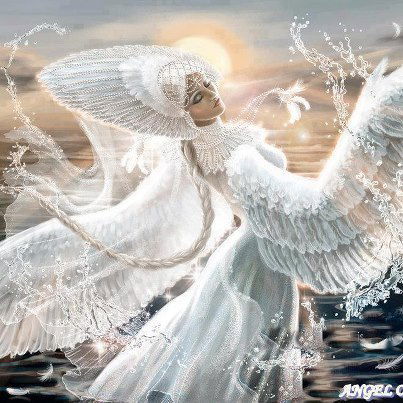 Ольга Кнорр