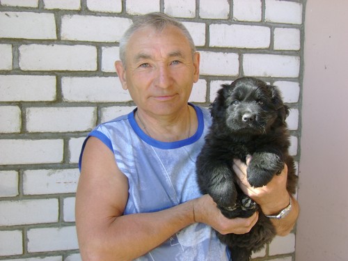 Владимир Крамаренко