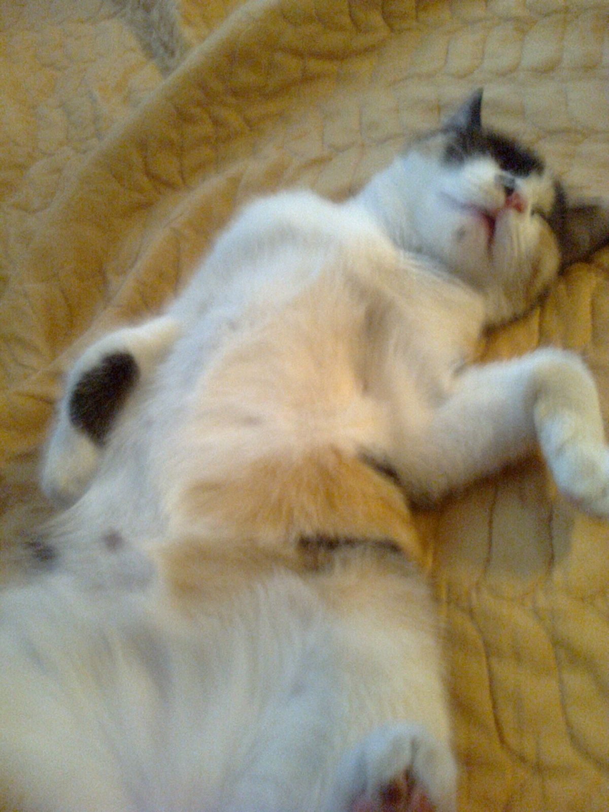 Валерий