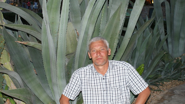 Александр Милосердов