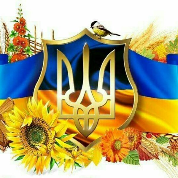 Alex Санич