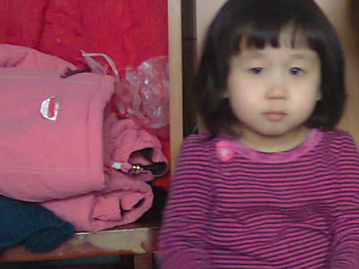 @kzhelen Zhum@nkulov@