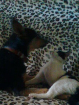 Людмила Волегова