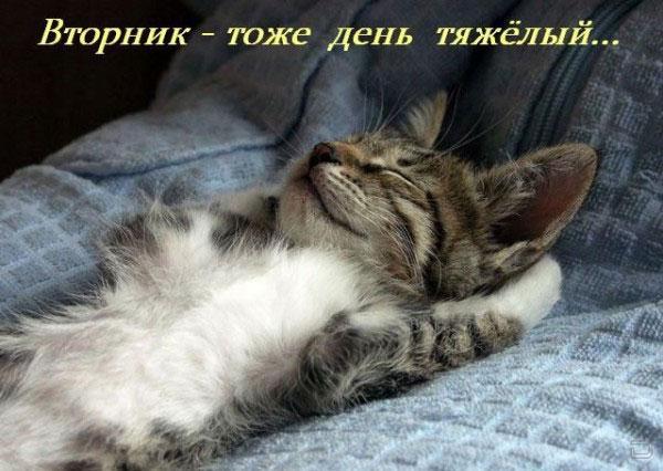Неизвестно Неизвестно